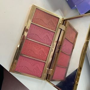 COPY - Tarts blush